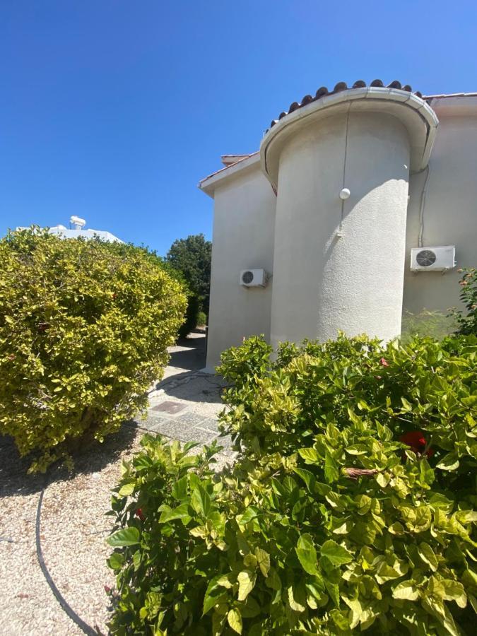 Seaside Maisonette 200M From Sea Paphos Esterno foto